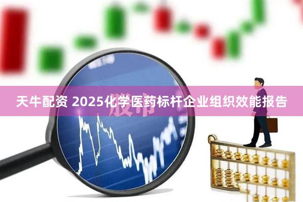天牛配资 2025化学医药标杆企业组织效能报告